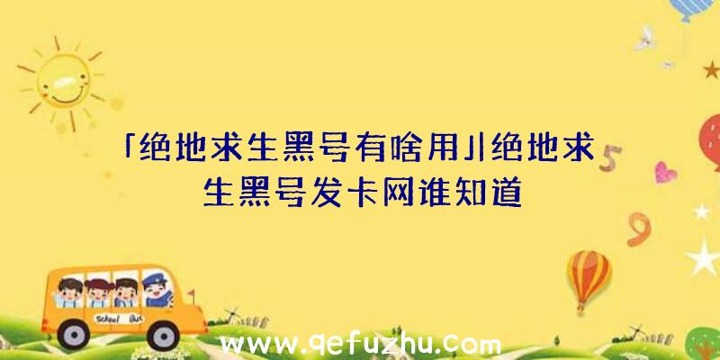 「绝地求生黑号有啥用」|绝地求生黑号发卡网谁知道